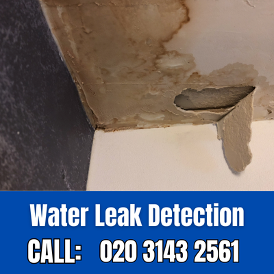 Expert Water Leak Detection Services in Earl's Court | Earl's Court Leak Detection